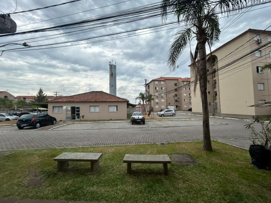 Apartamento - Venda - Fragata - Pelotas - RS