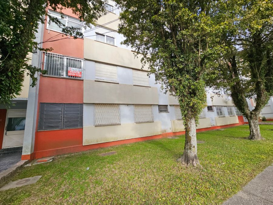 Apartamento - Venda - Fragata - Pelotas - RS