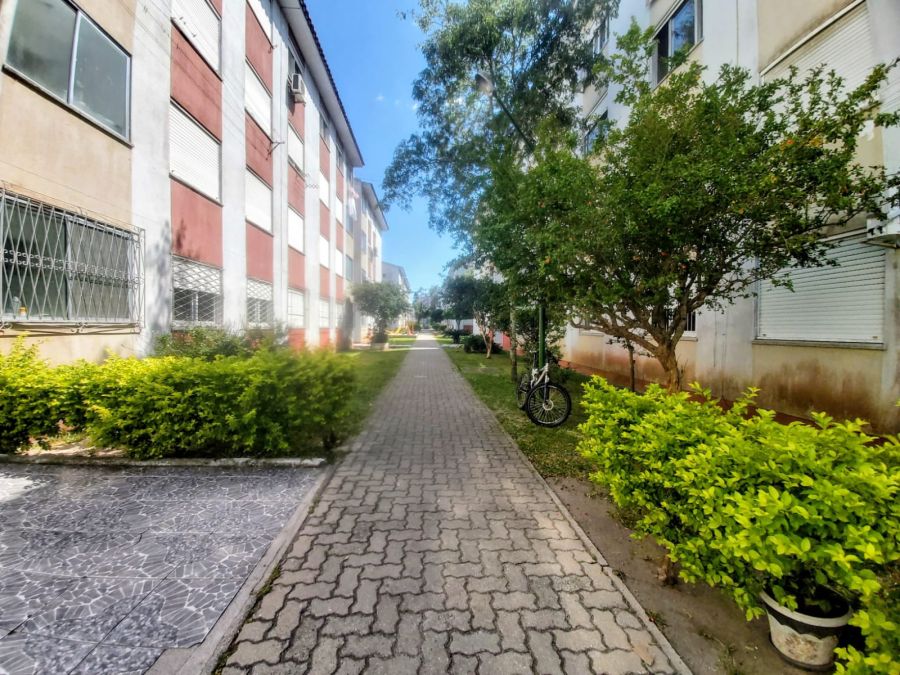 Apartamento - Venda - Fragata - Pelotas - RS