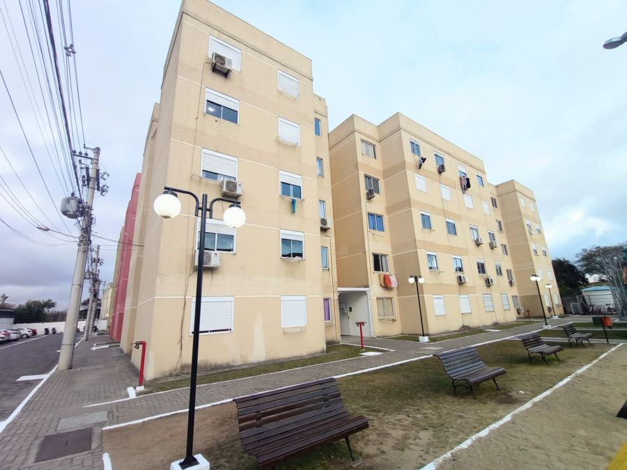 Apartamento - Venda - Fragata - Pelotas - RS
